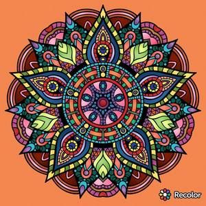 Meet your Posher, Donita